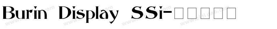 Burin Display SSi字体转换